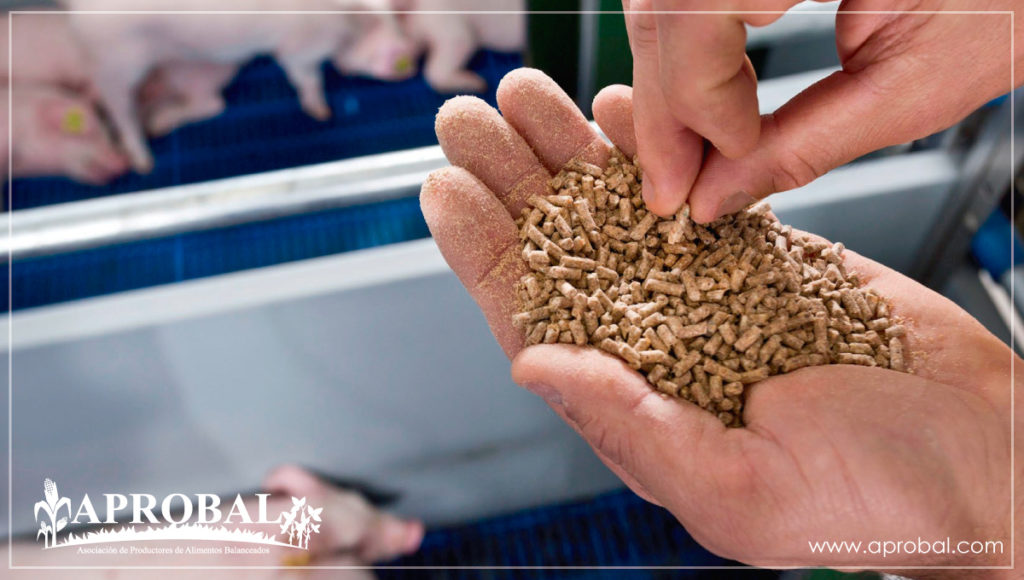 La elaboración de alimentos balanceados es un eslabón fundamental en la cadena productiva