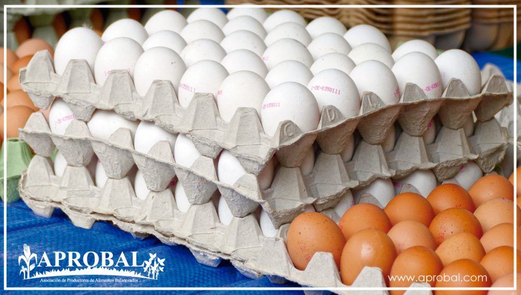 AGROCALIDAD CONCRETA REQUISITOS SANITARIOS PARA LA EXPORTACIÓN DE HUEVOS FÉRTILES HACIA COLOMBIA