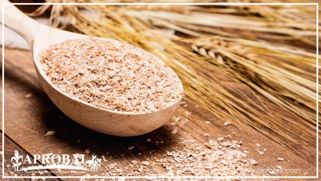 DESCRITOS LOS GENES DEL TRIGO QUE SE ACTIVAN COMO RESPUESTA A LA SEQUÍA EN EL CAMPO