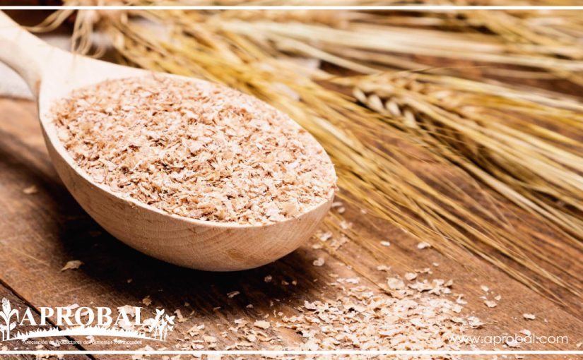 DESCRITOS LOS GENES DEL TRIGO QUE SE ACTIVAN COMO RESPUESTA A LA SEQUÍA EN EL CAMPO