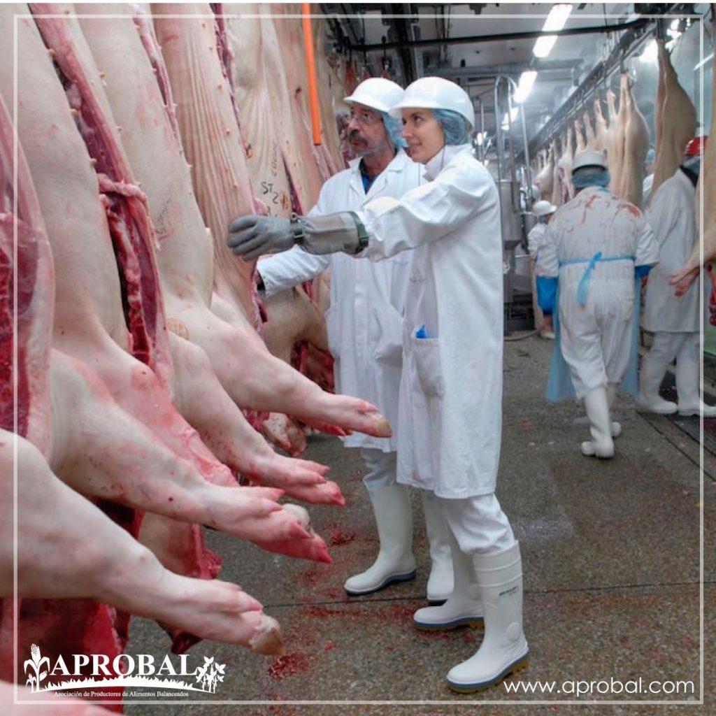 CHINA COMPRA 77.700 TONELADAS DE CARNE DE CERDO A ESTADOS UNIDOS