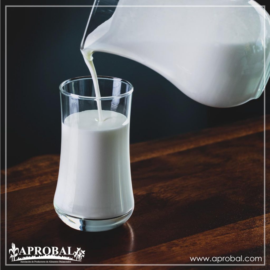GANADEROS DE ECUADOR IMPULSARÁN MÁS CONSUMO DE LECHE