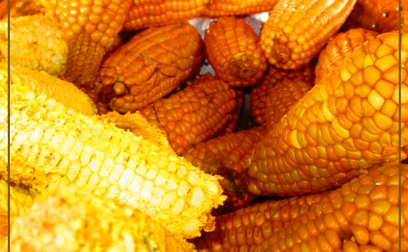 INDUSTRIALES DE PROTEÍNA ANIMAL, EN DESACUERDO POR EL PRECIO OFICIAL DEL MAÍZ