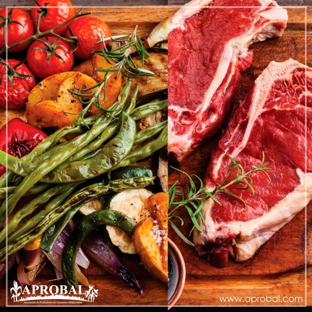 CARNÍVOROS, MÁS SALUDABLES QUE VEGETARIANOS: ESTUDIO