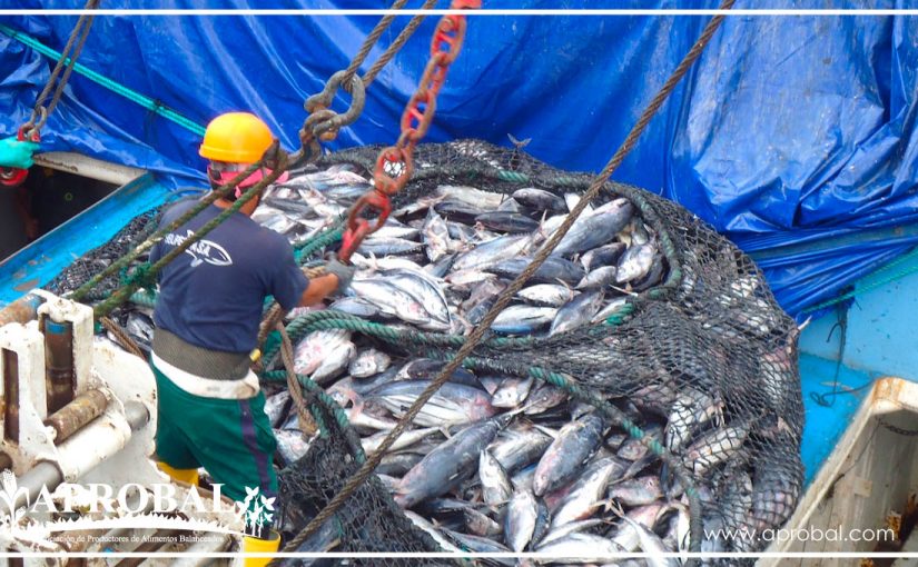 EL ATÚN REPRESENTA EL 5% DEL PIB DEL ECUADOR