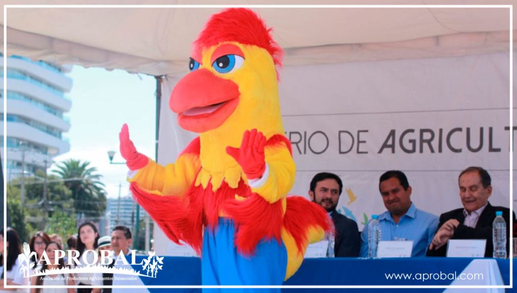 CONMEMORACIÓN DEL DÍA NACIONAL DE POLLO EN ECUADOR