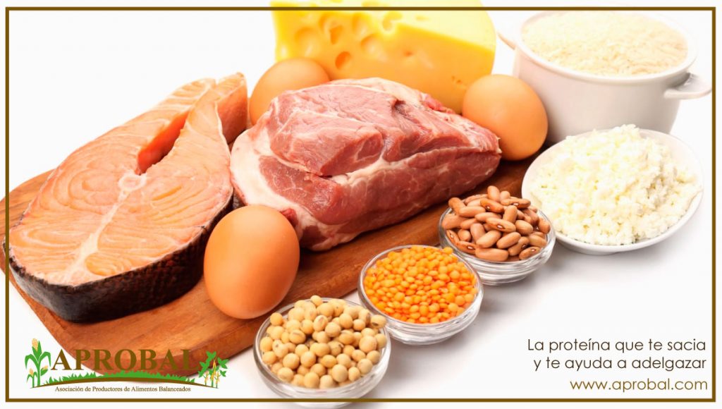 LA PROTEÍNA QUE TE SACIA Y TE AYUDA A ADELGAZAR