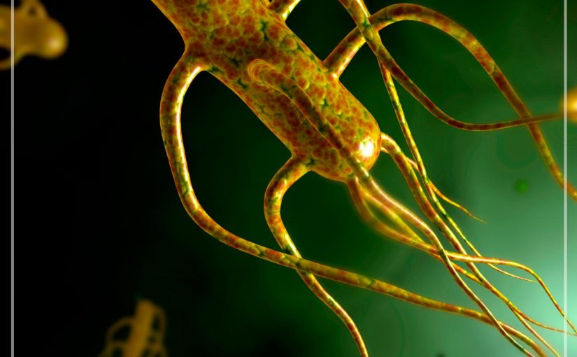 INVESTIGACIÓN GENÉTICA BUSCA EVITAR INFECCIÓN ALIMENTARIA POR SALMONELLA