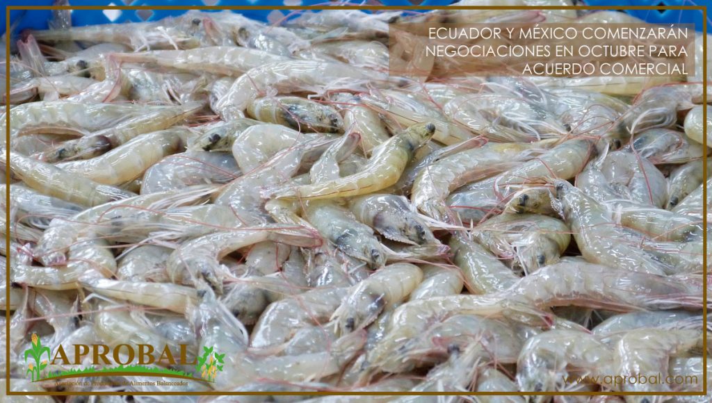 ECUADOR Y MÉXICO COMENZARÁN NEGOCIACIONES EN OCTUBRE PARA ACUERDO COMERCIAL