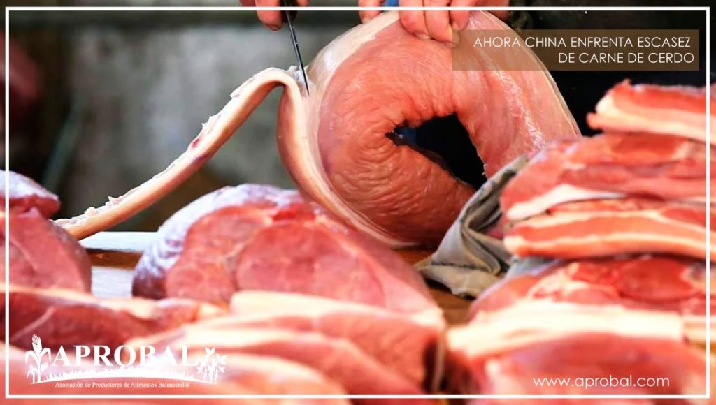 AHORA CHINA ENFRENTA ESCASEZ DE CARNE DE CERDO