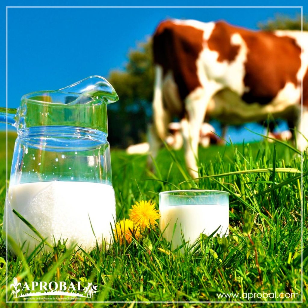MILES DE LITROS DE LECHE SE PIERDEN POR EL PARO