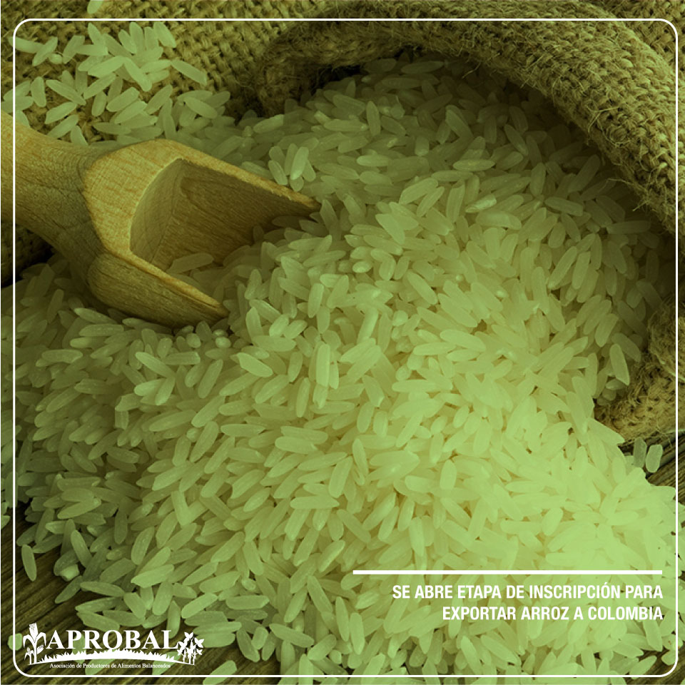 SE ABRE ETAPA DE INSCRIPCIÓN PARA EXPORTAR ARROZ A COLOMBIA