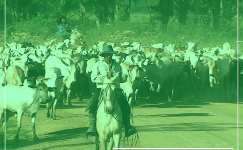 CARNE DE RES BOLIVIANA INGRESA OFICIALMENTE AL MERCADO CHINO