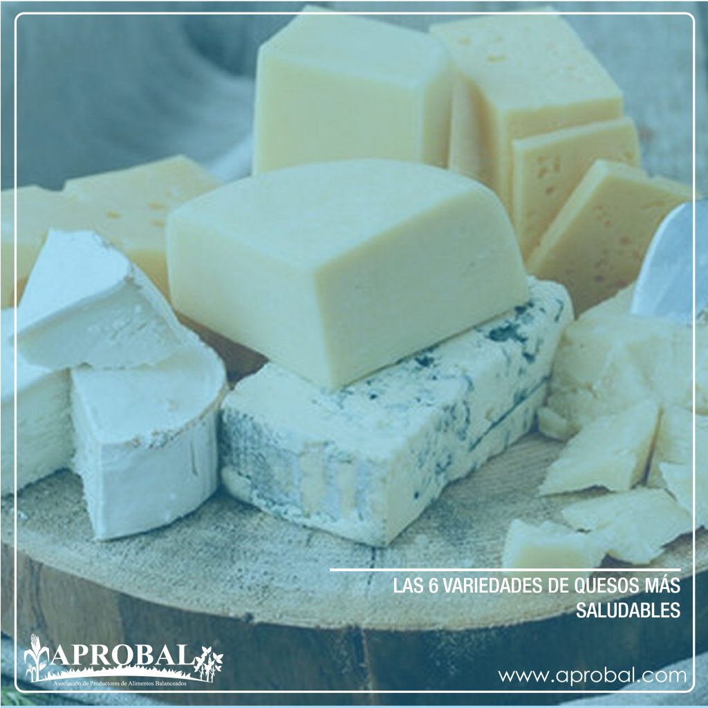 LAS 6 VARIEDADES DE QUESOS MÁS SALUDABLES