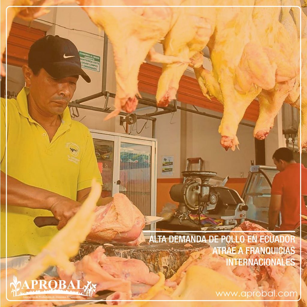 ALTA DEMANDA DE POLLO EN ECUADOR ATRAE A FRANQUICIAS INTERNACIONALES
