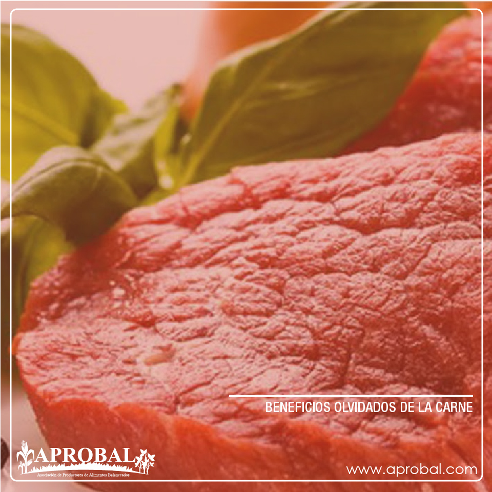 BENEFICIOS OLVIDADOS DE LA CARNE