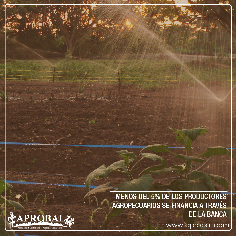 MENOS DEL 5% DE LOS PRODUCTORES AGROPECUARIOS SE FINANCIA A TRAVÉS DE LA BANCA