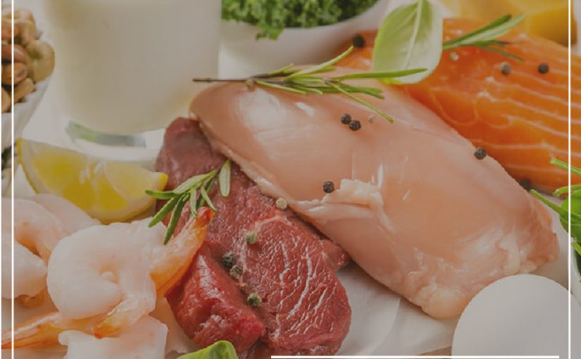 LA DIFERENCIA ENTRE LAS PROTEÍNAS ANIMALES Y LAS VEGETALES EN LA SALUD