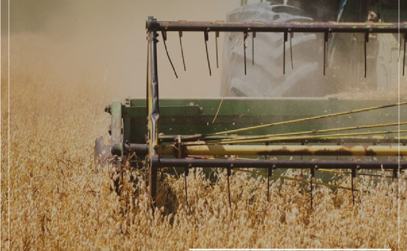COSECHA DE SOJA EN PARAGUAY SUPERARÍA LAS 10M DE TONELADAS