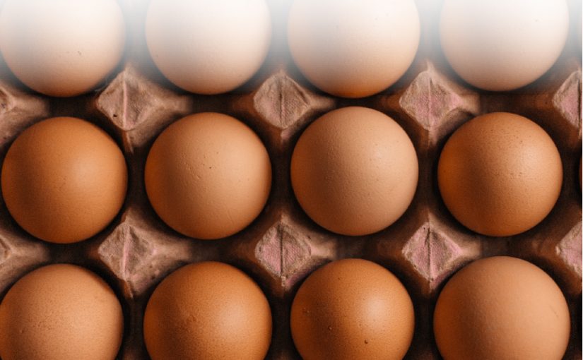 ¡AVICULTORES RECHAZAN ESPECULACIÓN CON LOS HUEVOS!