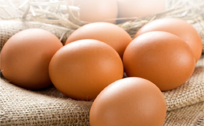 UNA BIOPELÍCULA PARA DUPLICAR LA DURABILIDAD DE LOS HUEVOS