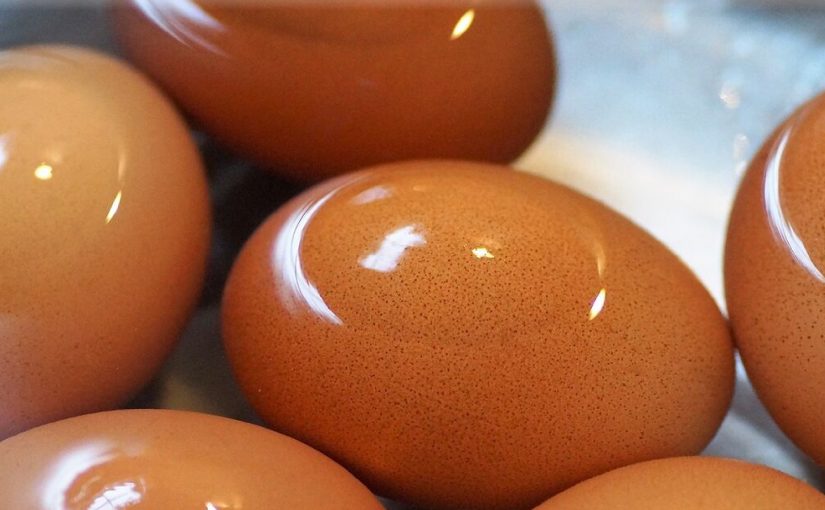 EXPERTA ADVIERTE EL PELIGRO QUE PUEDE PROVOCAR LAVAR LOS HUEVOS ANTES DE REFRIGERARLOS