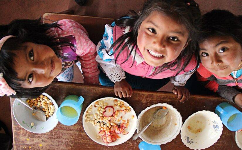 La malnutrición infantil representa un 4,3% del pib, recordó el sector de alimentos balanceados