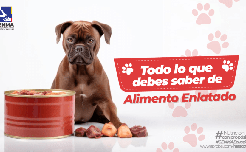 Alimento enlatado para mascotas ¿Es una buena opción?