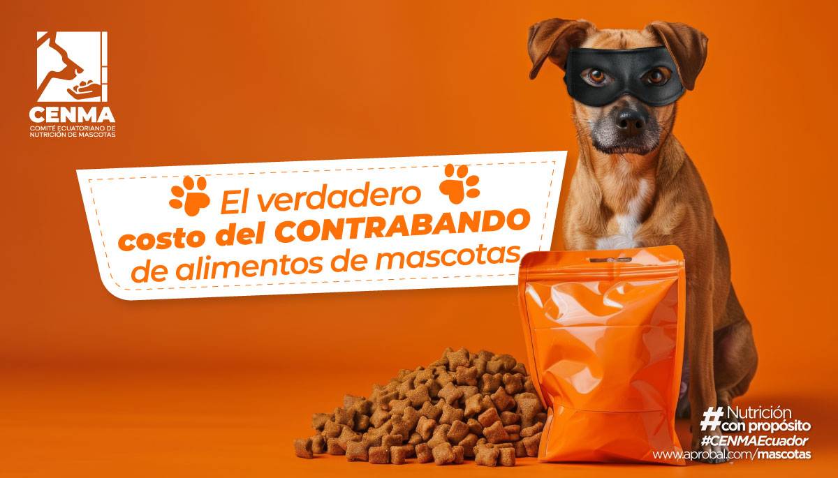 CENMA_Más-allá-del-precio2