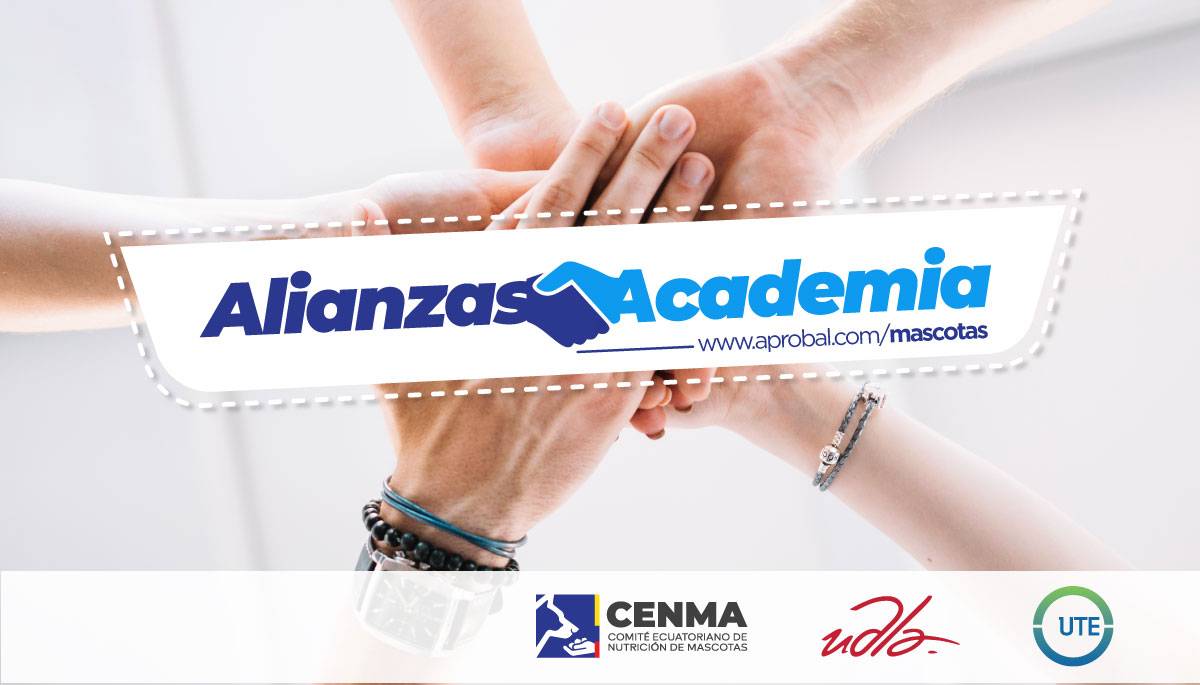 CENMA-Alianzas-academia