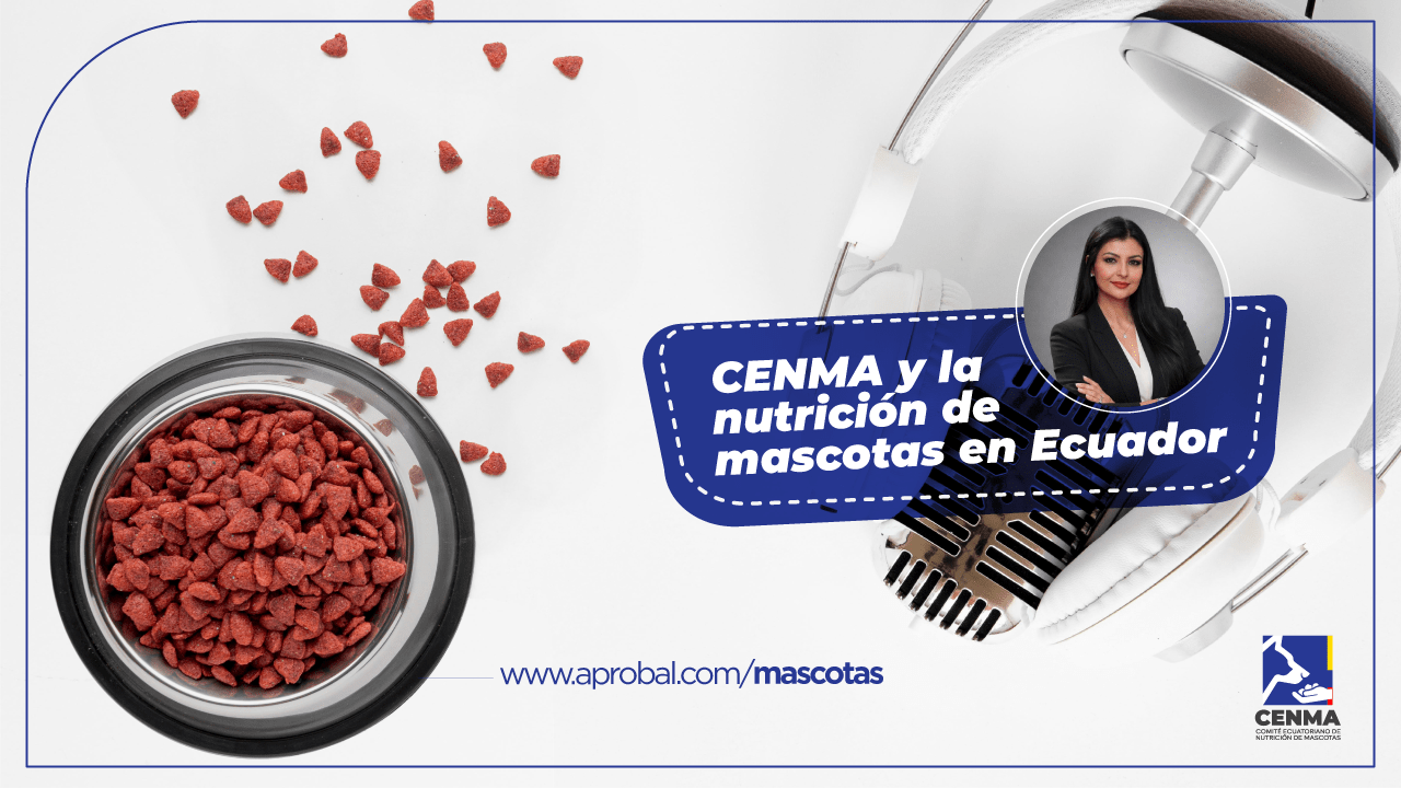 CENMA-Resumen-Entrevistas-