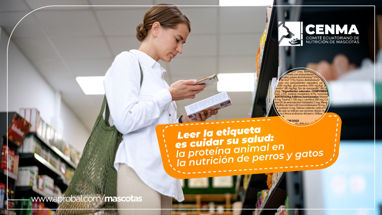 Leer la etiqueta es cuidar su salud: la proteína animal en la nutrición de perros y gatos CENMA