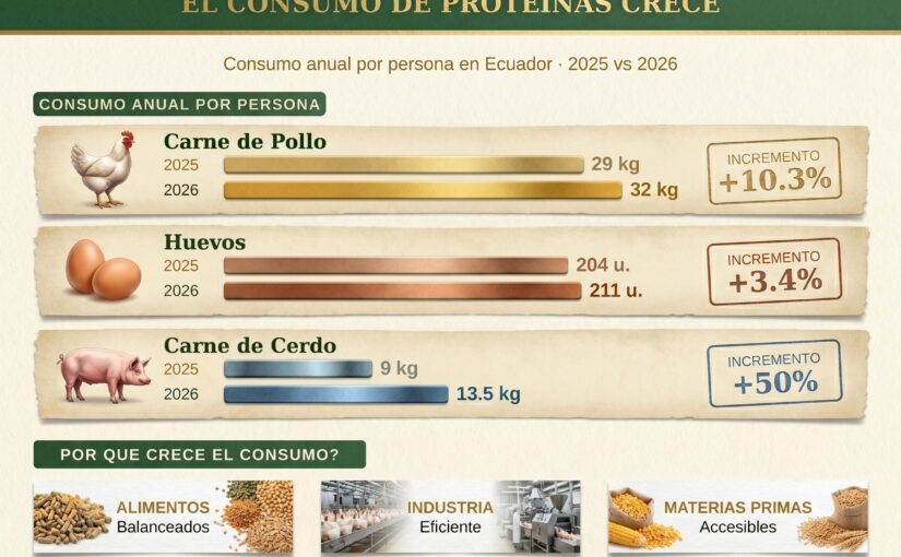 EL CONSUMO DE PROTEÍNAS COMO POLLO, HUEVOS Y CERDO SE INCREMENTÓ RESPECTO DE 2025