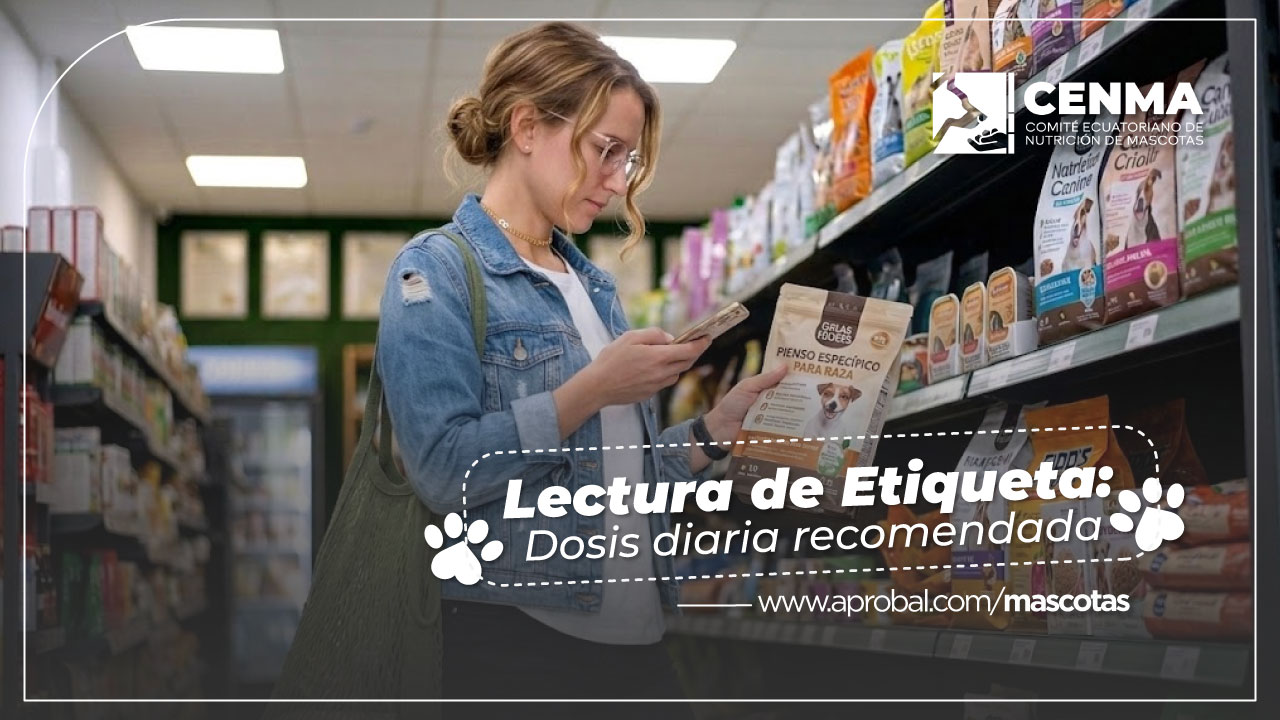 Lectura de Etiqueta CENMA