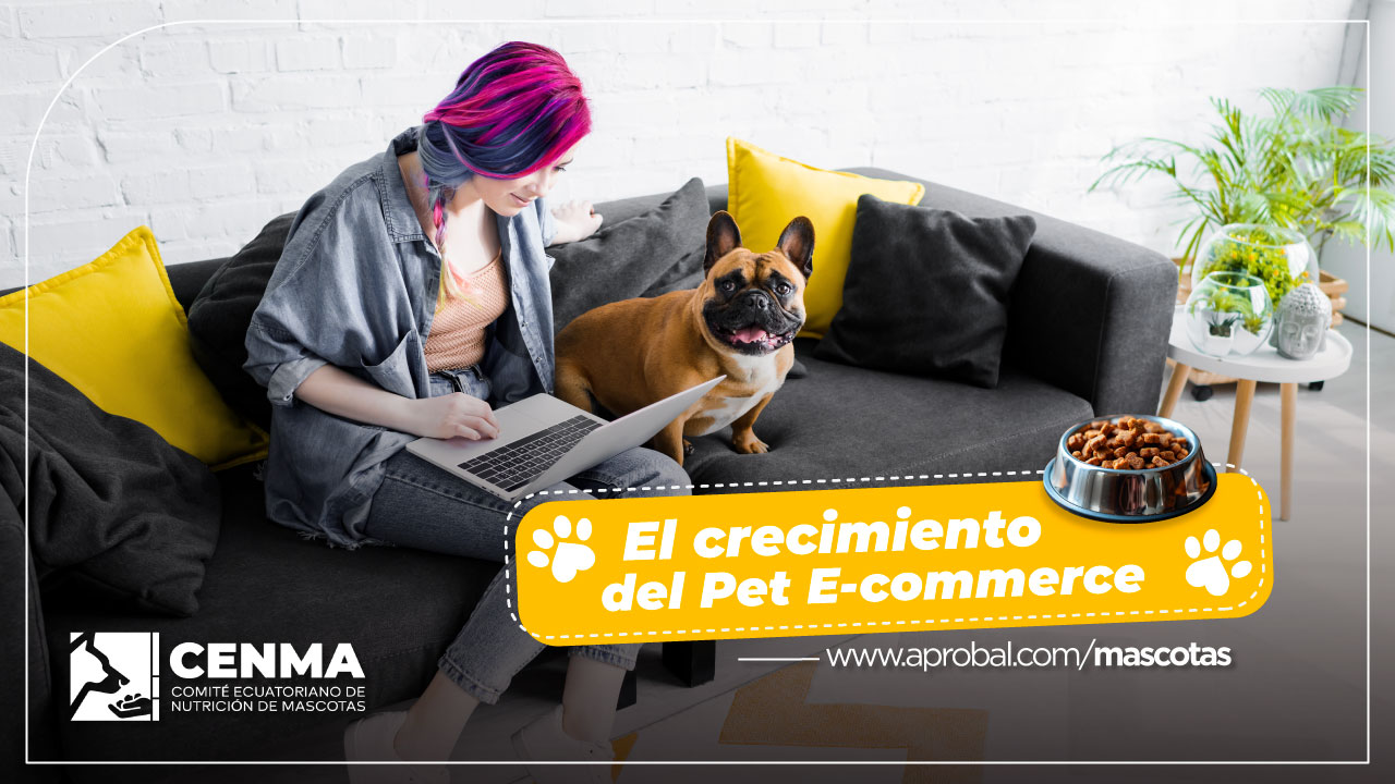 El crecimiento del pet e-commerce CENMA